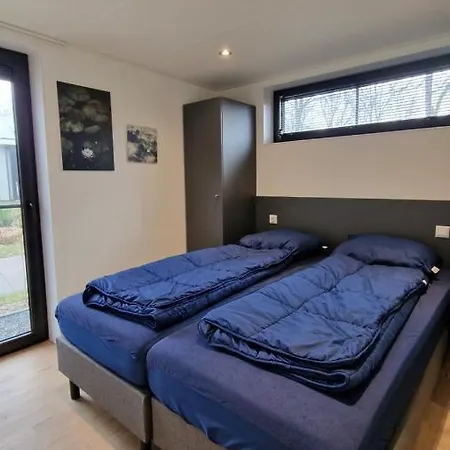 Velduil 52 * Hulshorst